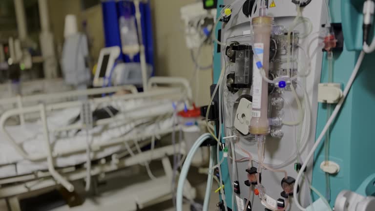 istockphoto-1765893674-640x640