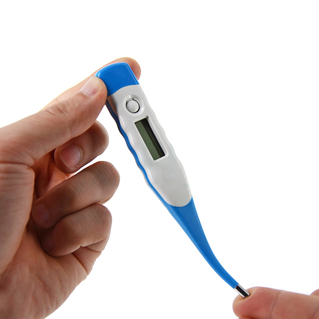 640-digital thermometer