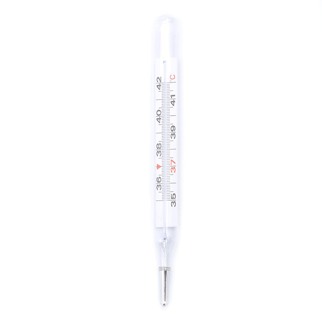 640-mercury free thermometer (3)