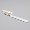 Medical Professional Disposable Sterile Surgical Scalpel with Plastic Handle