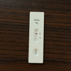 Ebola Antigen Rapid Test Kit