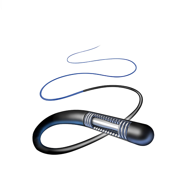 Hydrophilic Coated Guidewire