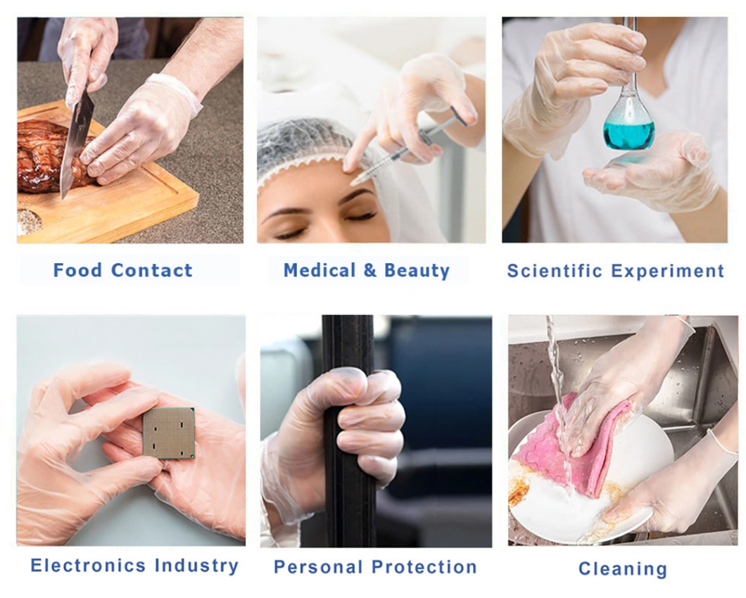 Disposable Medical PVC Powdered Or Powder Free Clear Vinyl Glove 