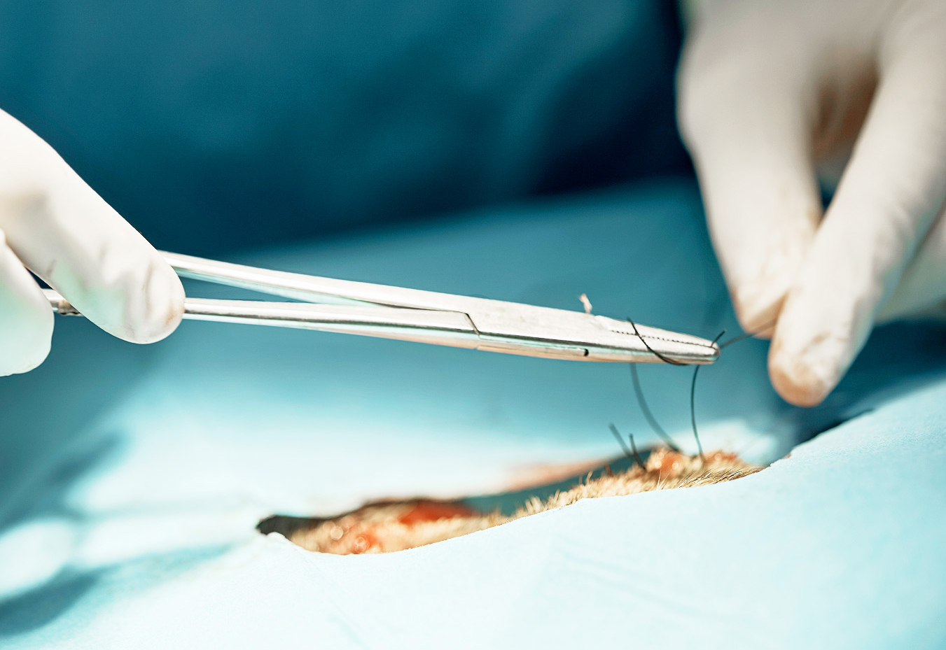 surgical knot4.jpg