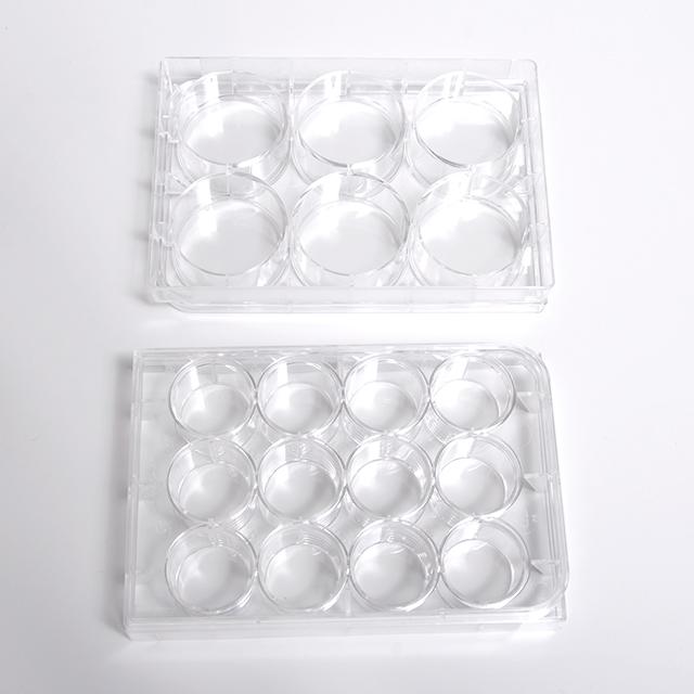 6/24/96 Wells Plate Cell Culture Dish PCR Plates Tissue