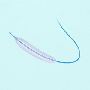 PTCA Balloon Dilatation Catheter