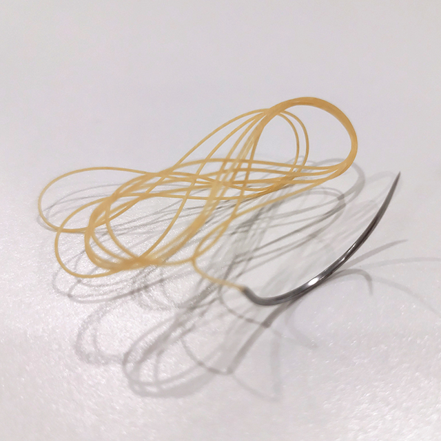 Surgical Absorbable Plain Chromic Suture with Needle