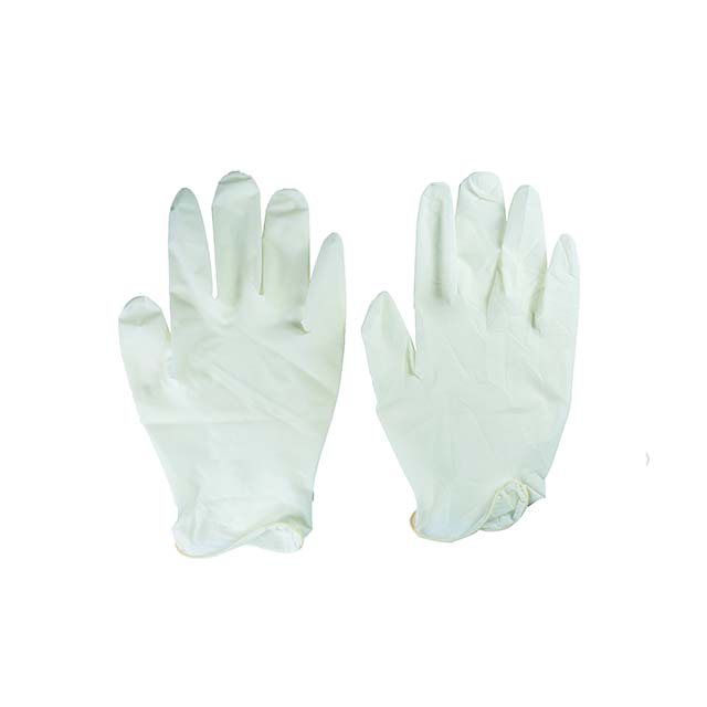 Latex Examination Gloves
