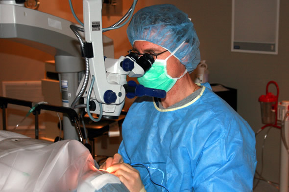 Ophthalmic Pack