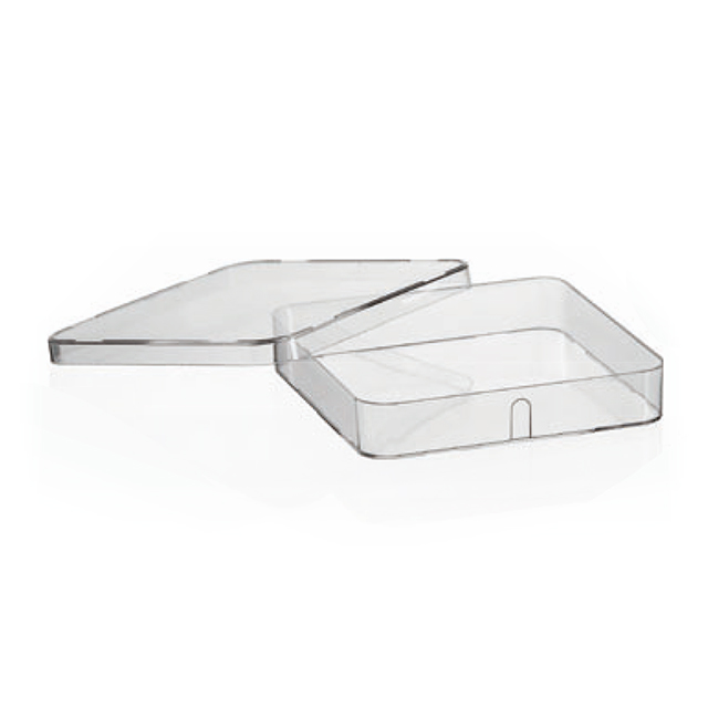 Disposable Plastic Transparent Petri Dish for Laboratory Use