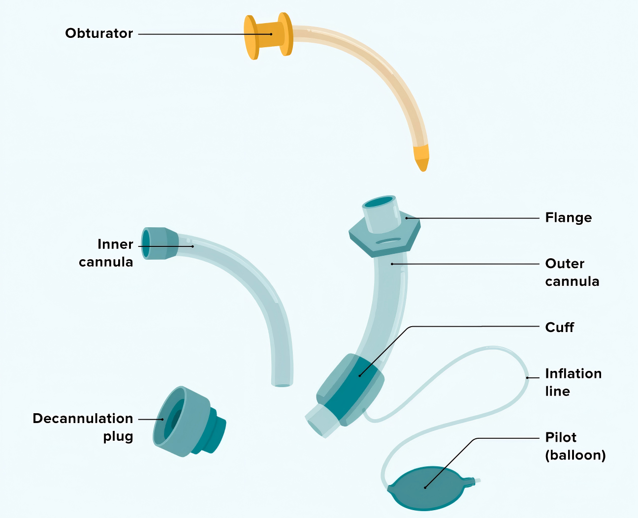 2961787-how-is-an-obturator-used-for-tracheostomy-care-1296x1333-1(1)