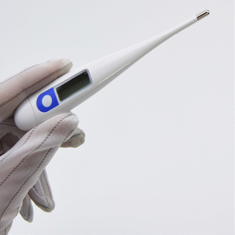 800-digital thermometer