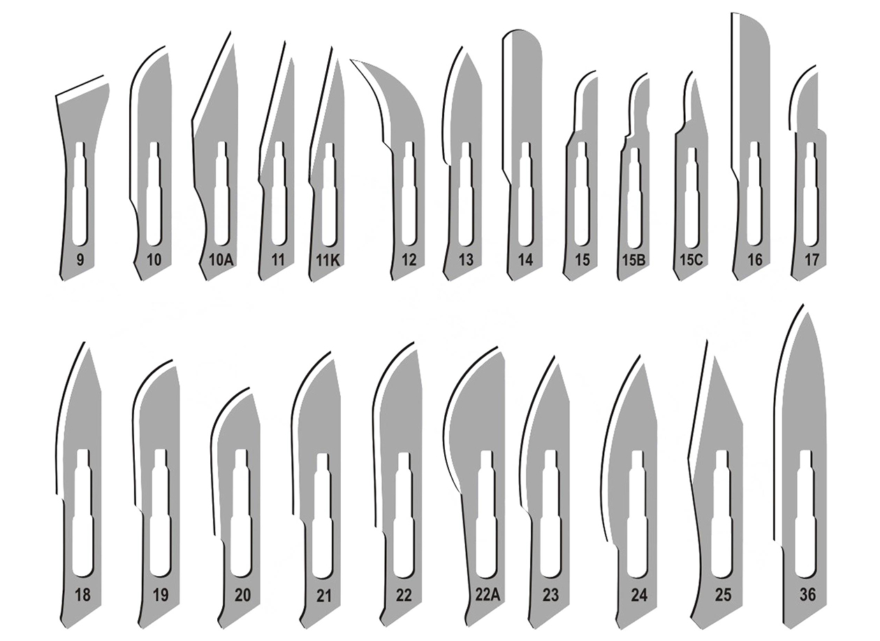 scalpel blade sizes1.jpg