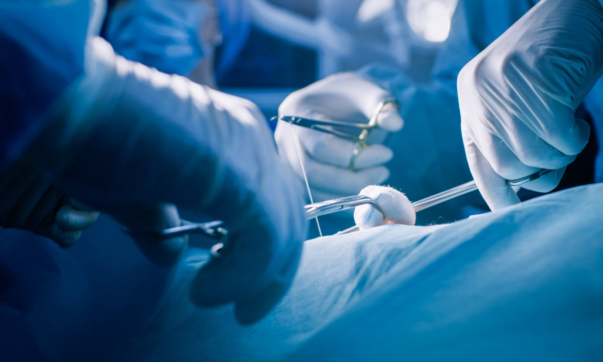 surgical knot2.jpg