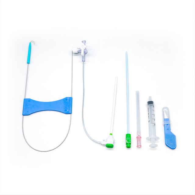 Disposable Radial & Femoral Introducer Sheath | Vascular Access Sheath for Interventional Procedures