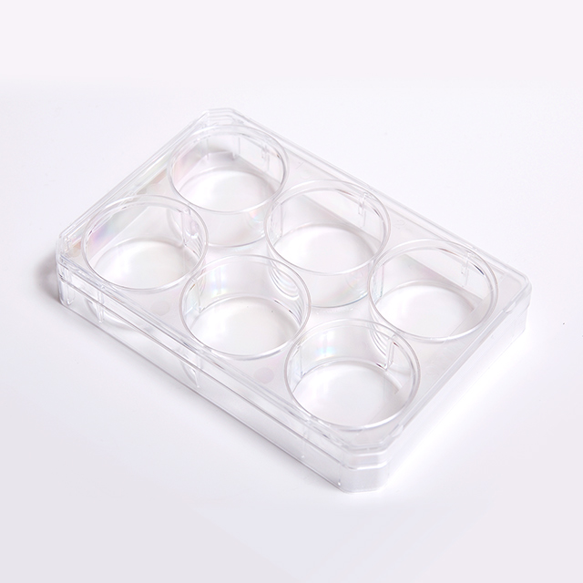6/24/96 Wells Plate Cell Culture Dish PCR Plates Tissue