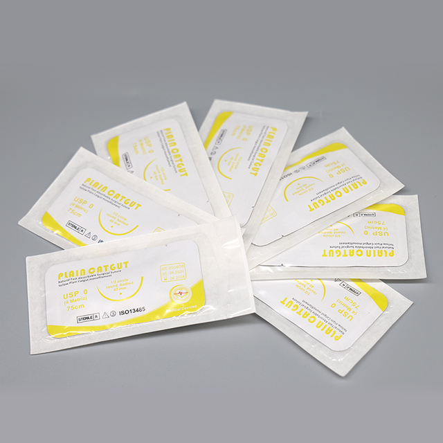 Surgical Absorbable Plain Chromic Suture with Needle